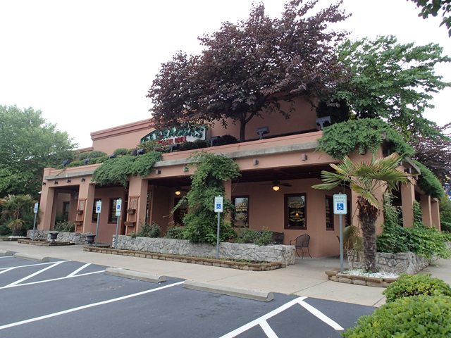 Greenville Before